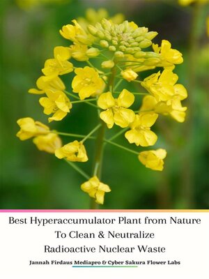 cover image of Best Hyperaccumulator Plant from Nature to Clean & Neutralize Radioactive Nuclear Waste